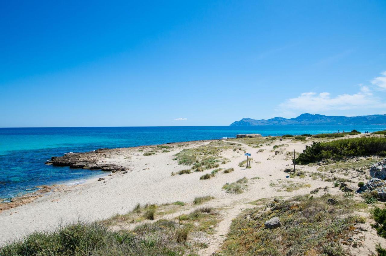 Biel * Port de Alcudia (Mallorca)
